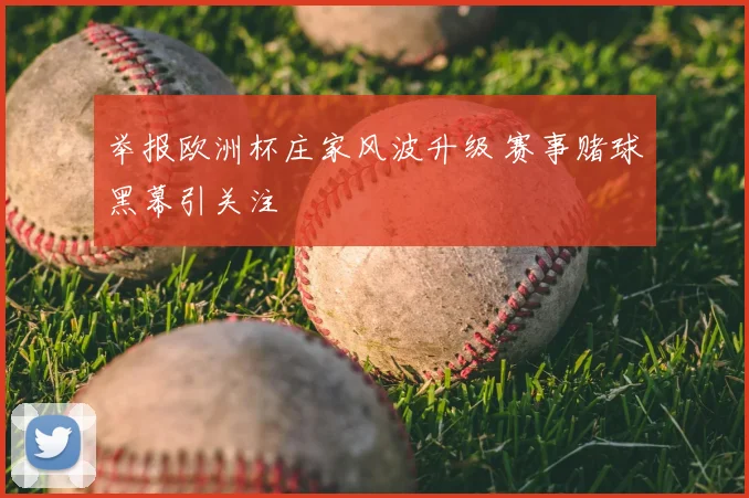 举报欧洲杯庄家风波升级 赛事赌球黑幕引关注